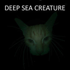 deep sea creature